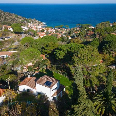 Villa Caterina Quiete E Mare-Goelba SantʼAndrea Extérieur photo