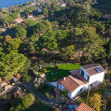 Villa Caterina Quiete E Mare-Goelba SantʼAndrea Extérieur photo