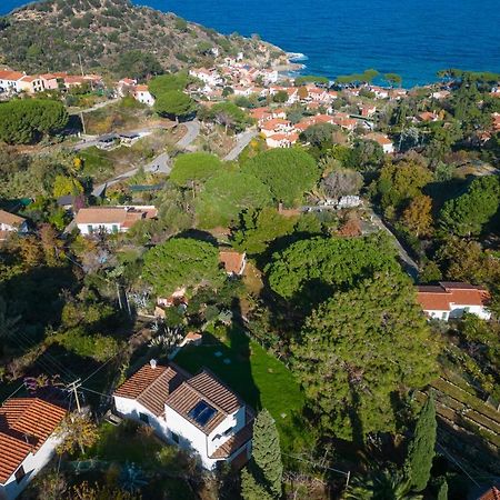 Villa Caterina Quiete E Mare-Goelba SantʼAndrea Extérieur photo