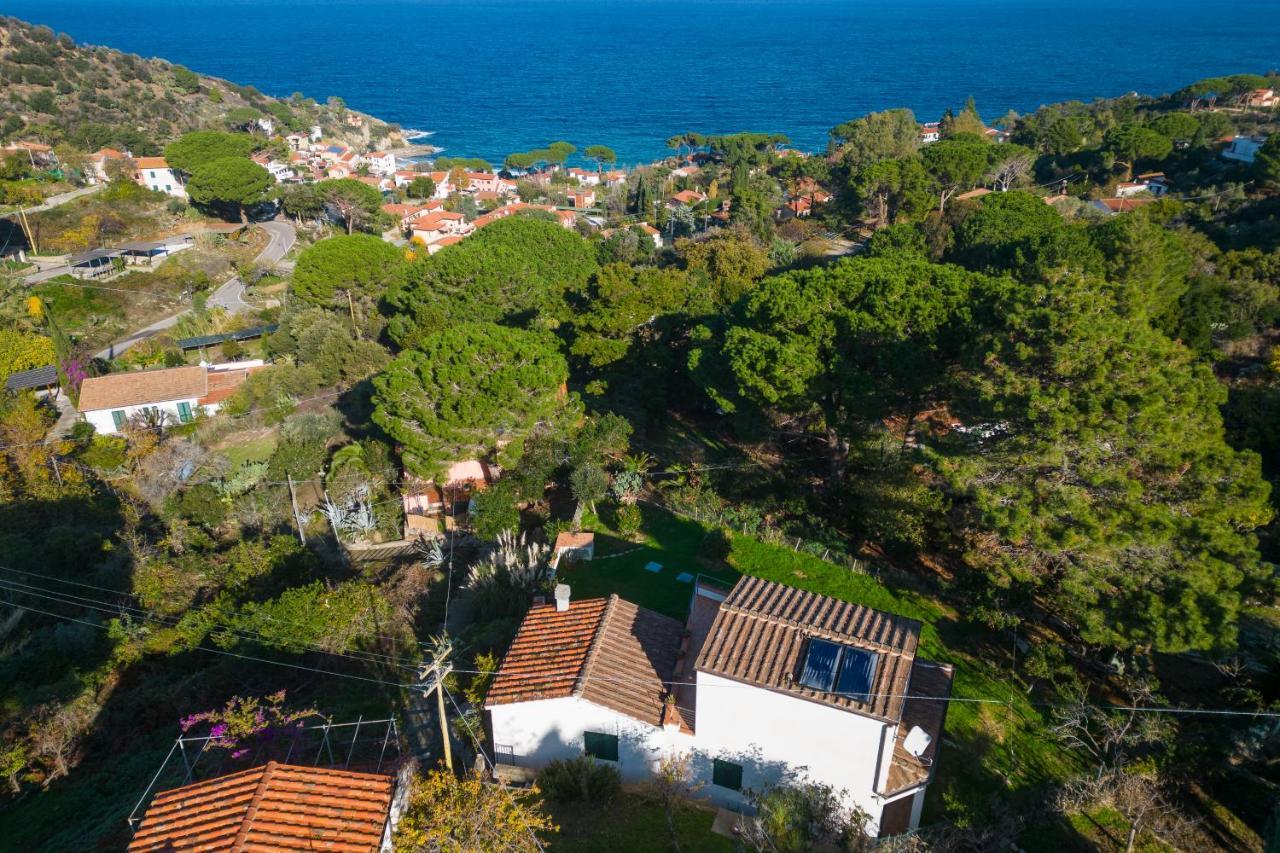 Villa Caterina Quiete E Mare-Goelba SantʼAndrea Extérieur photo